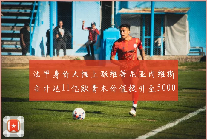 法甲身价大幅上涨维蒂尼亚内维斯合计达11亿欧青木价值提升至5000万