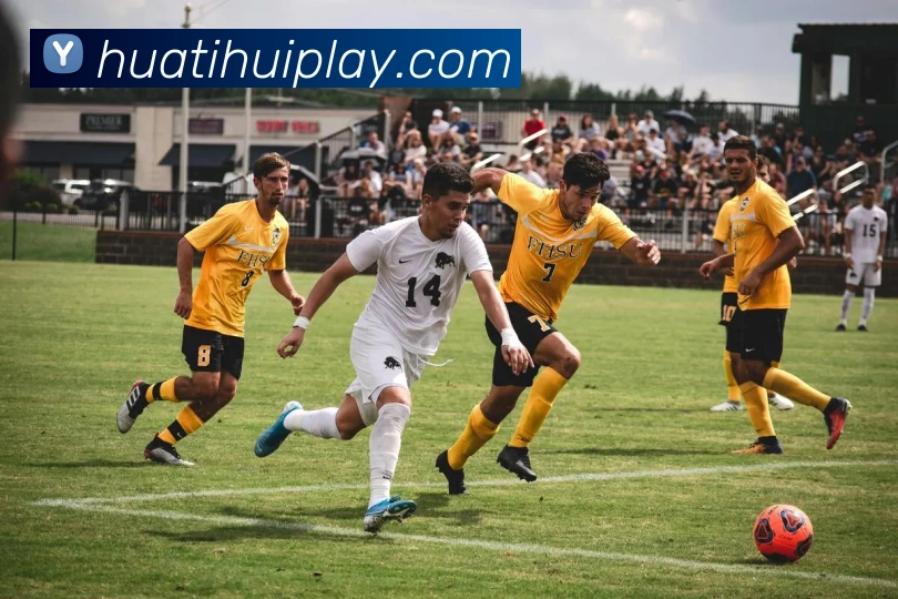 华体会体育APP 封面图