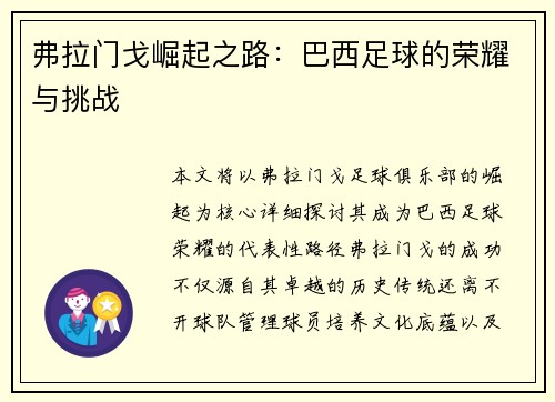 弗拉门戈崛起之路：巴西足球的荣耀与挑战