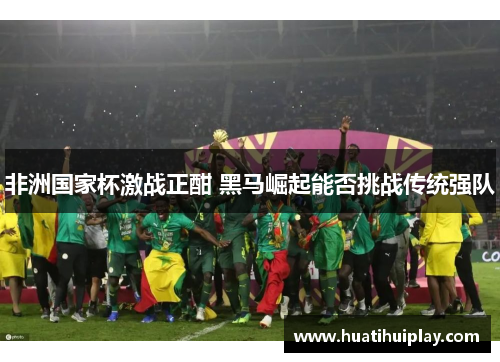 非洲国家杯激战正酣 黑马崛起能否挑战传统强队